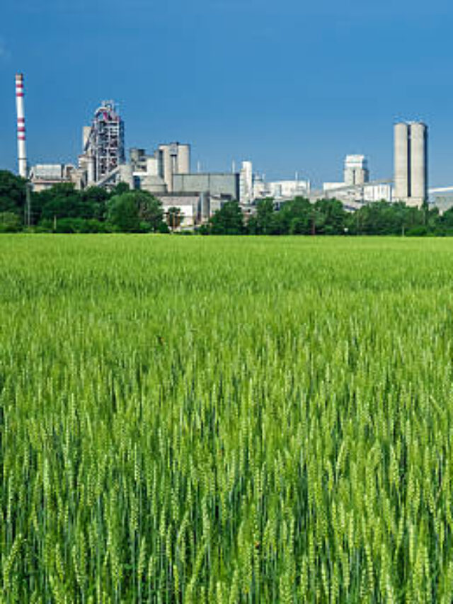 The green productive land and cement works