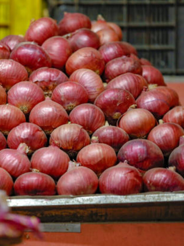 Fresh vegetable shop in indian market