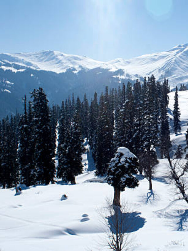 Beautiful Skiing Resort of Gulmarg in Kashmir - India