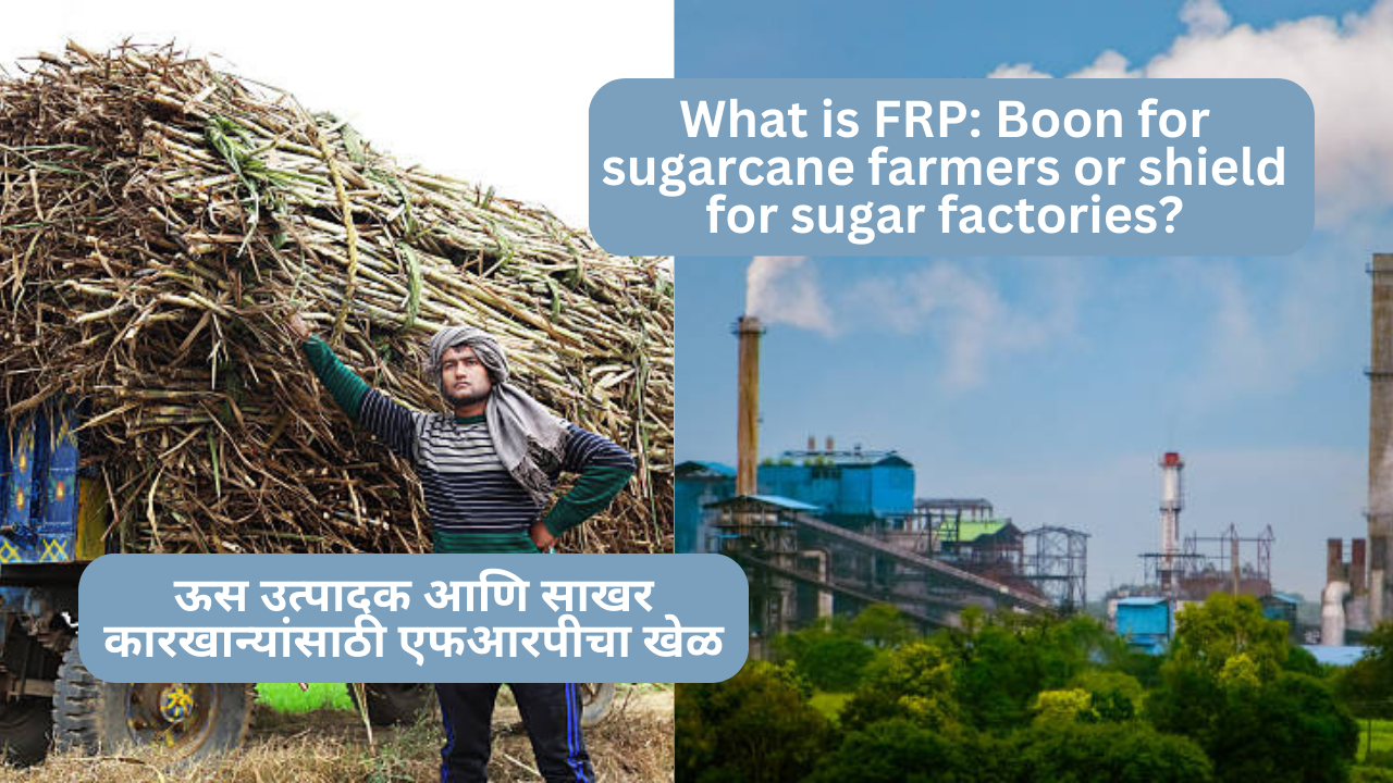 What is FRP: Boon for sugarcane farmers or shield for sugar factories?