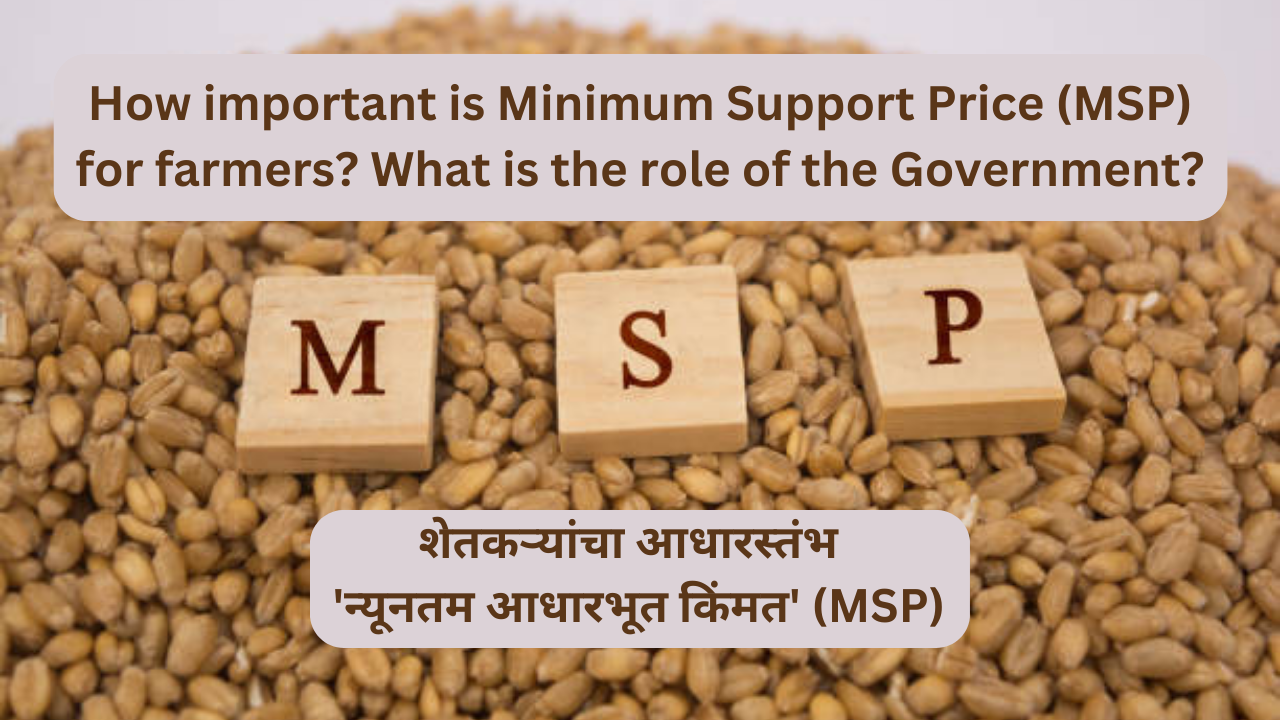 How important is Minimum Support Price (MSP) for farmers? What is the role of the Government?