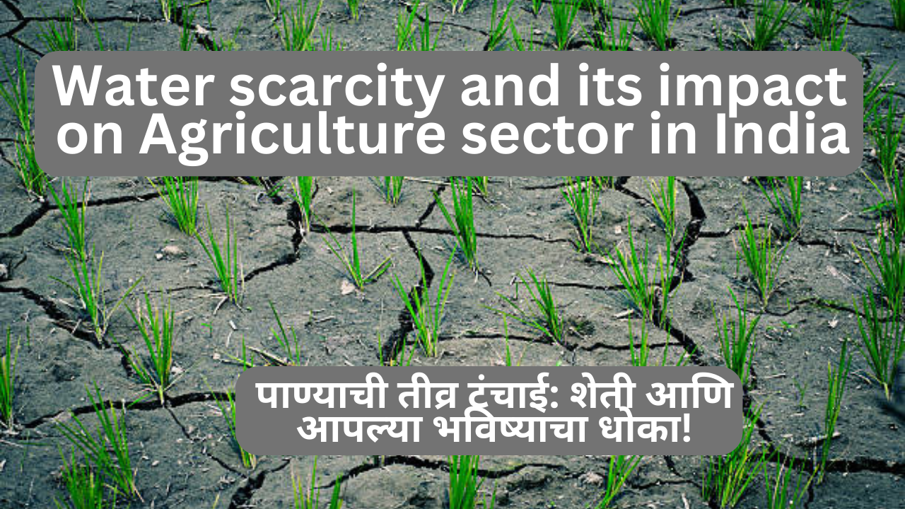 Water scarcity and its impact on Agriculture sector in India