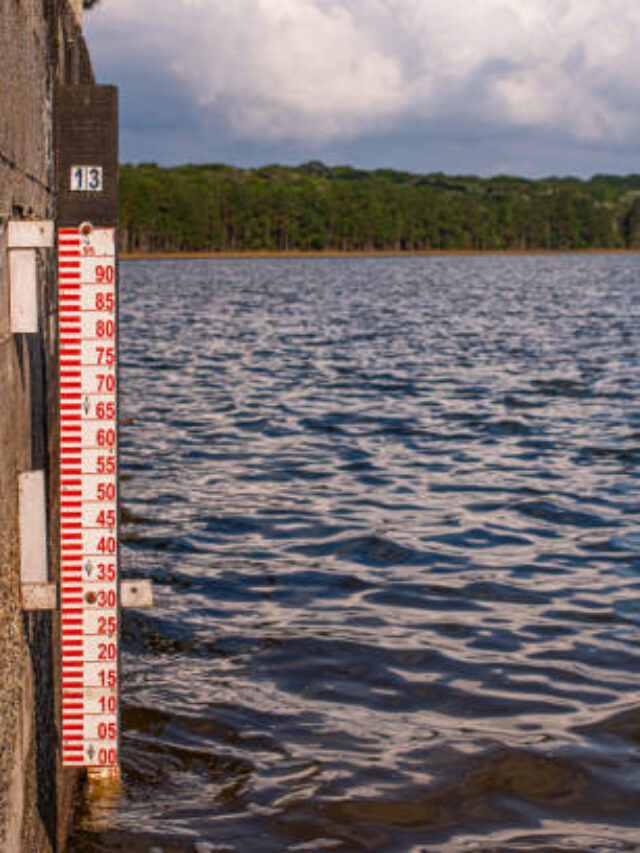 Low level of a water reservoir in São Paulo, Brazil - Pedro Beicht Dam