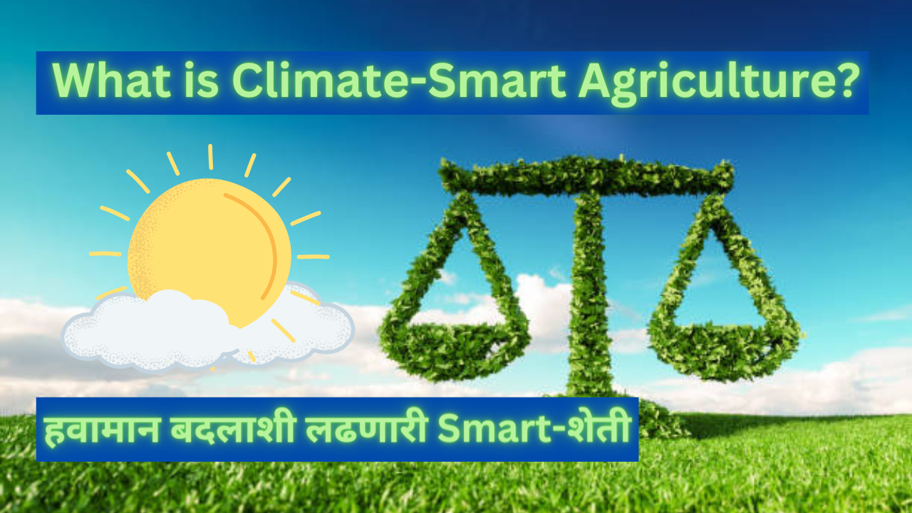 What is Climate-Smart Agriculture?