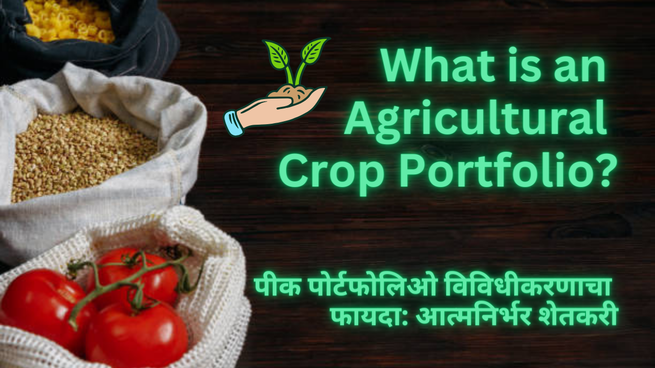 What is an Agricultural Crop Portfolio?