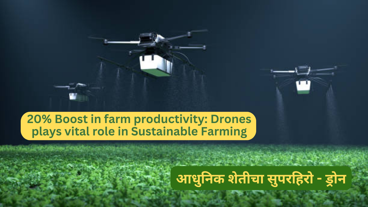 20% Boost in farm productivity: Drones plays vital role in Sustainable Farming