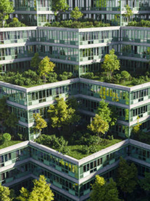 cropped-h-11.jpg