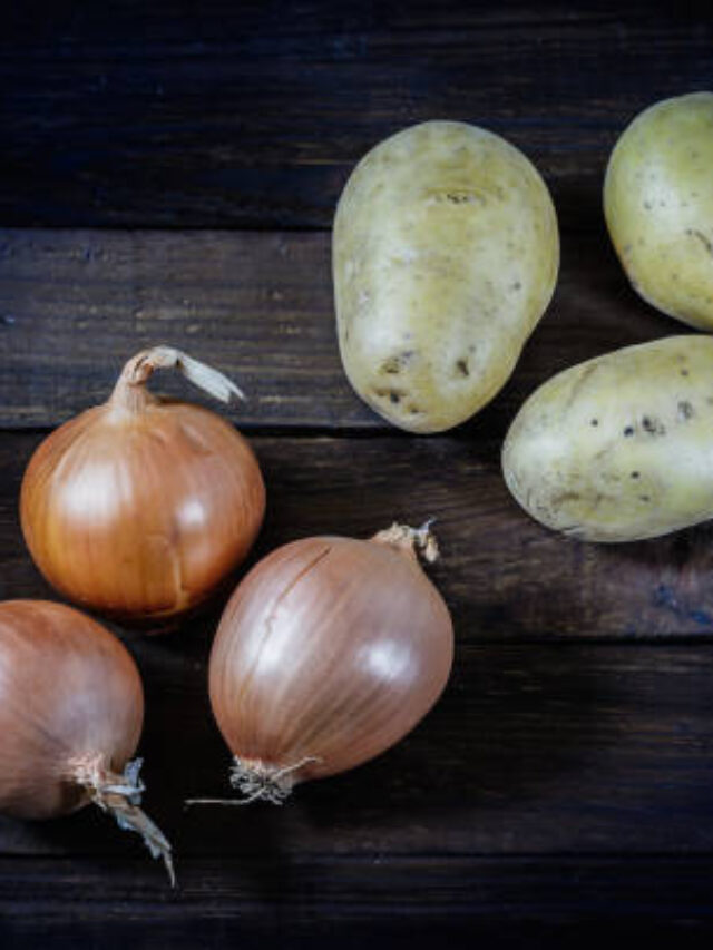 cropped-istockphoto-1133783659-612x612-1.jpg