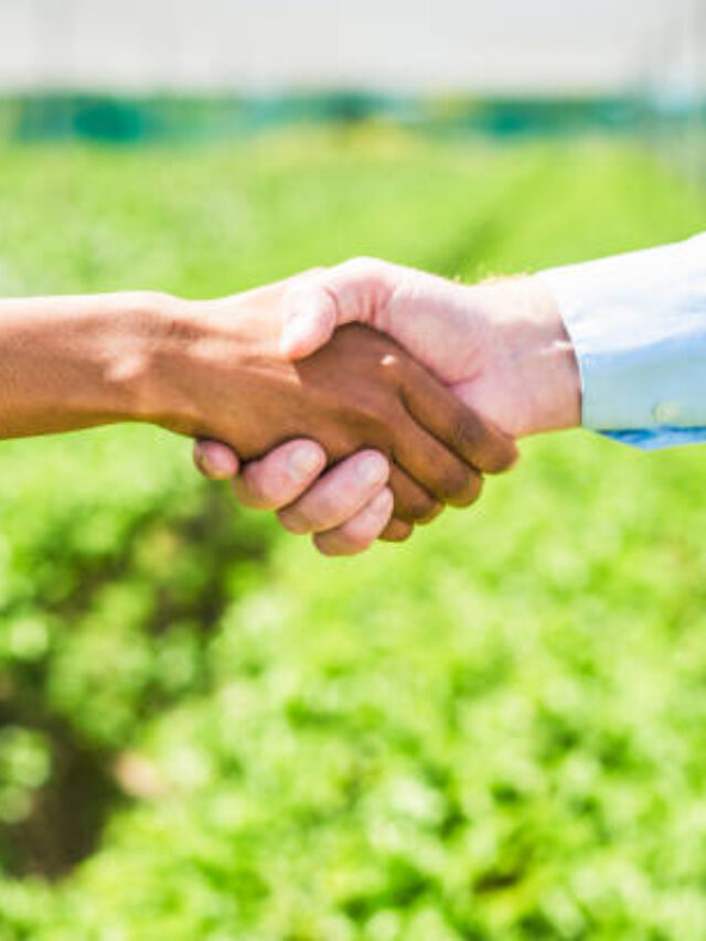 cropped-istockphoto-1365693895-612x612-1.jpg