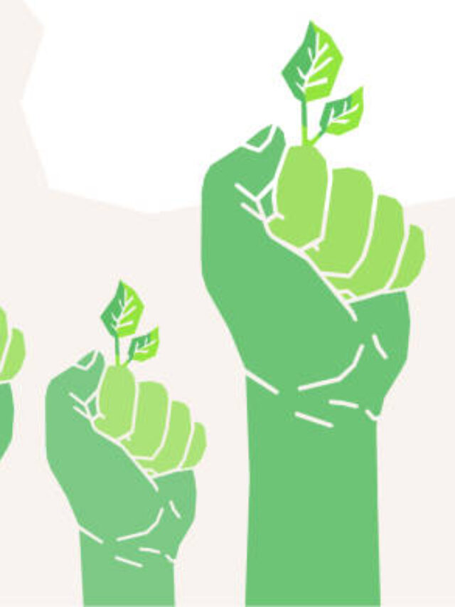 cropped-s-1.jpg