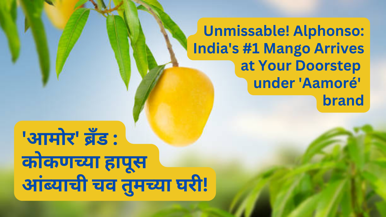 Unmissable! Alphonso: India's #1 Mango Arrives at Your Doorstep under 'Aamoré' brand