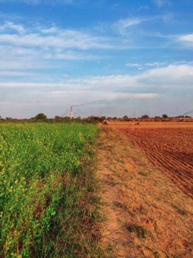 cropped-c-13.jpg