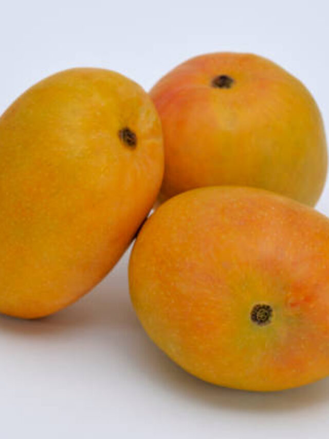 cropped-l-9.jpg