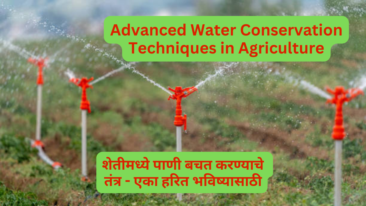 Advanced Water Conservation Techniques in Agriculture