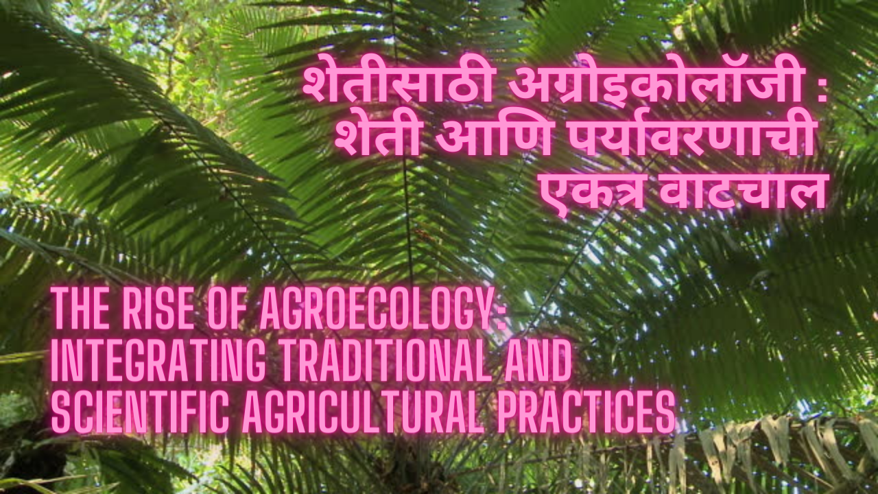 The Rise of Agroecology: Integrating Traditional and Scientific Agricultural Practices