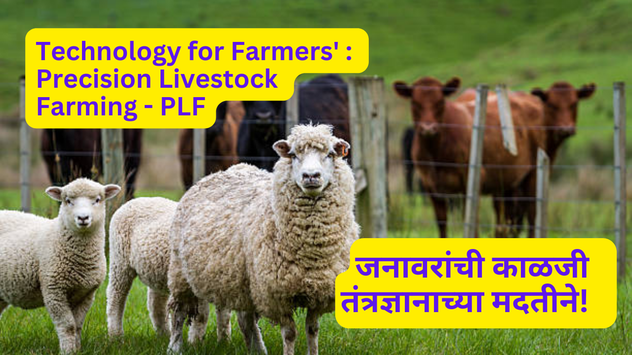 Technology for Farmers' : Precision Livestock Farming - PLF