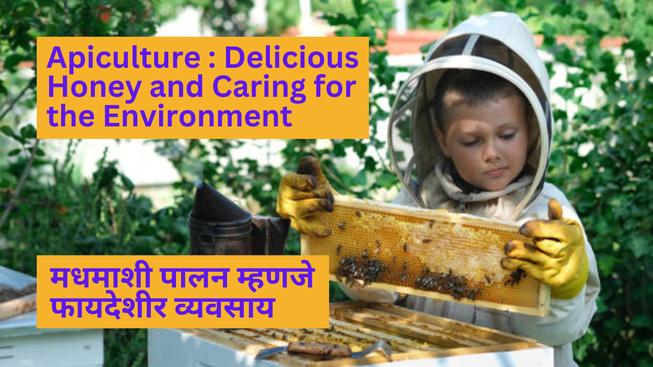 Apiculture : Delicious Honey and Caring for the Environment