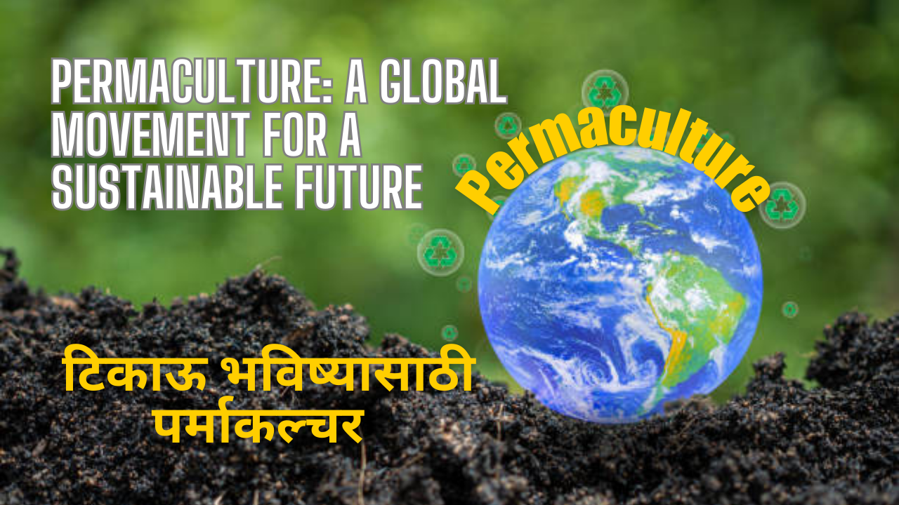 Permaculture: A Global Movement for a Sustainable Future