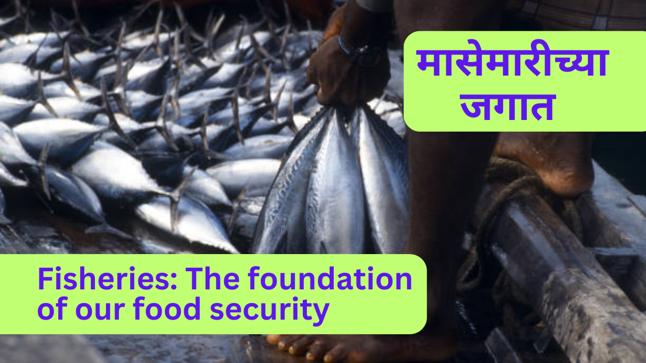 Fisheries: The foundation of our food security