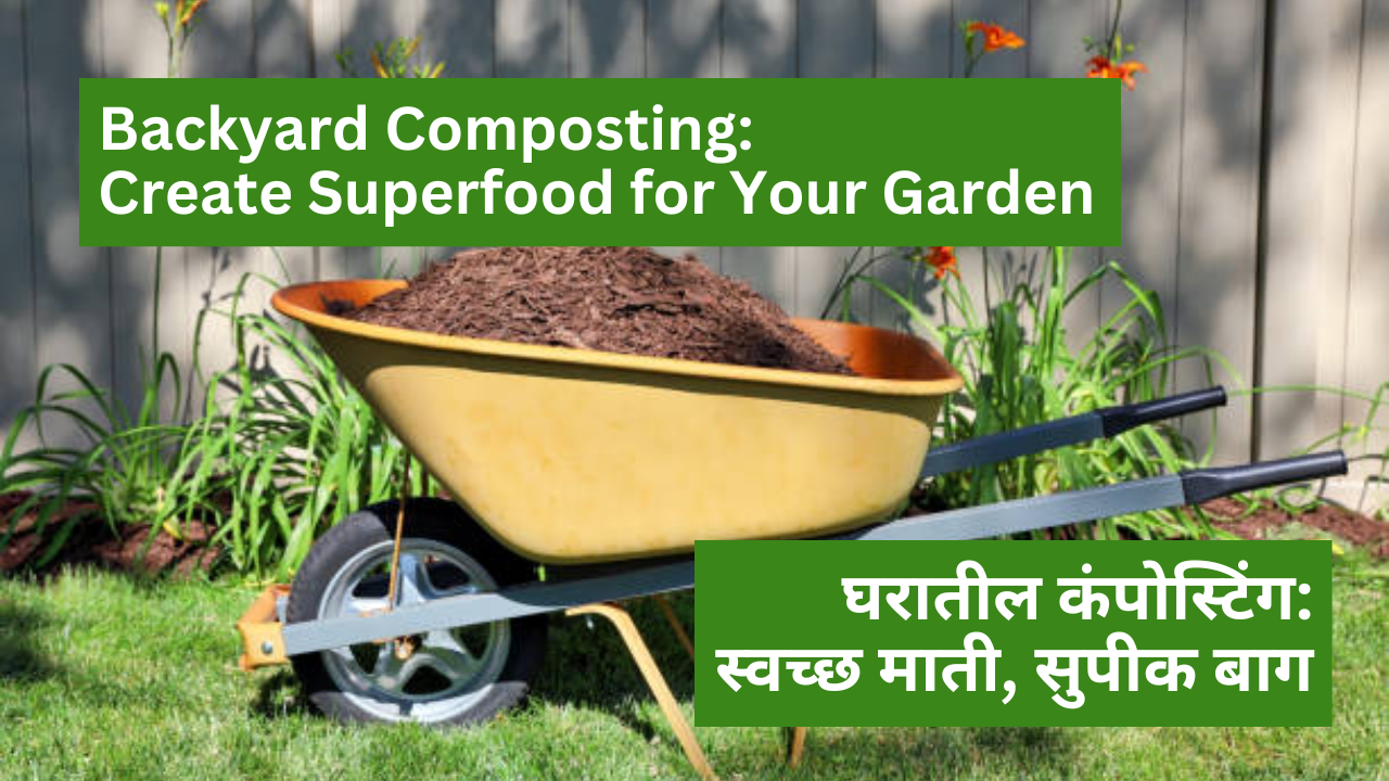 Backyard Composting: Create Superfood for Your Garden