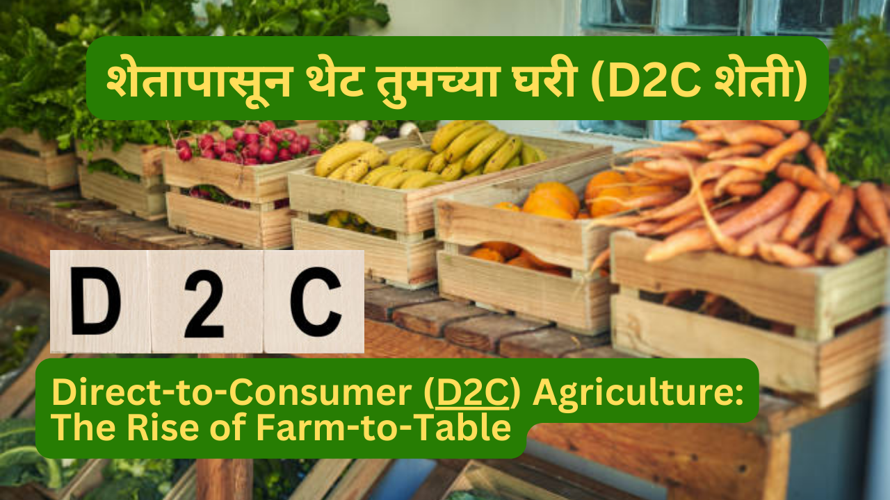 Direct-to-Consumer (D2C) Agriculture: The Rise of Farm-to-Table