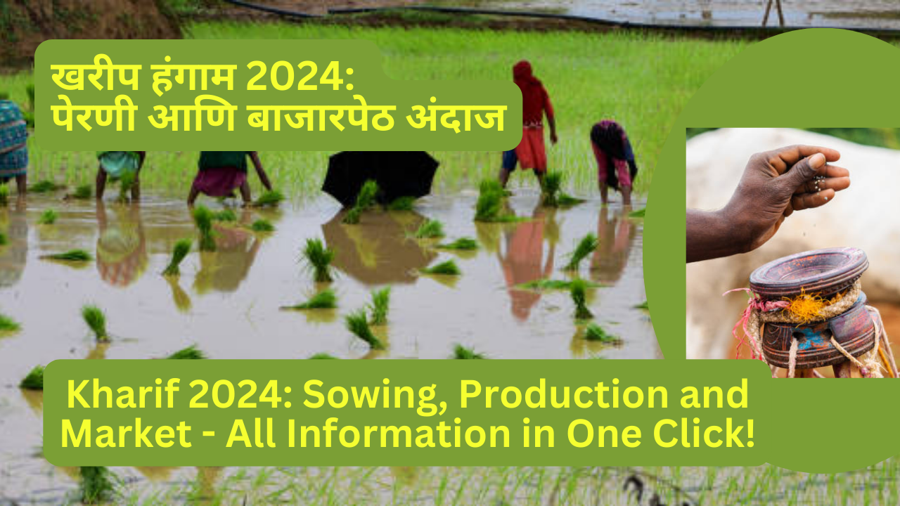 Kharif 2024: Sowing, Production and Market - All Information in One Click!