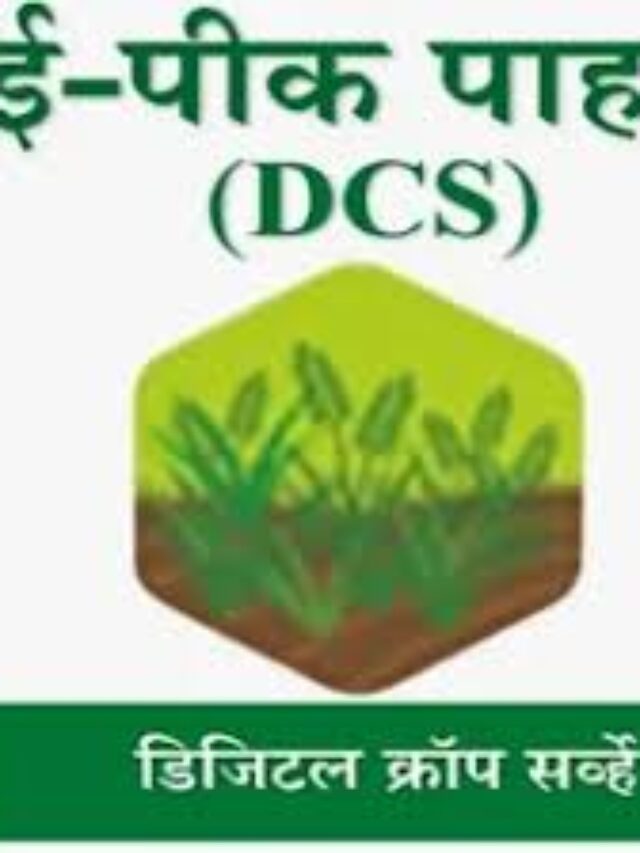 cropped-g-8.jpg