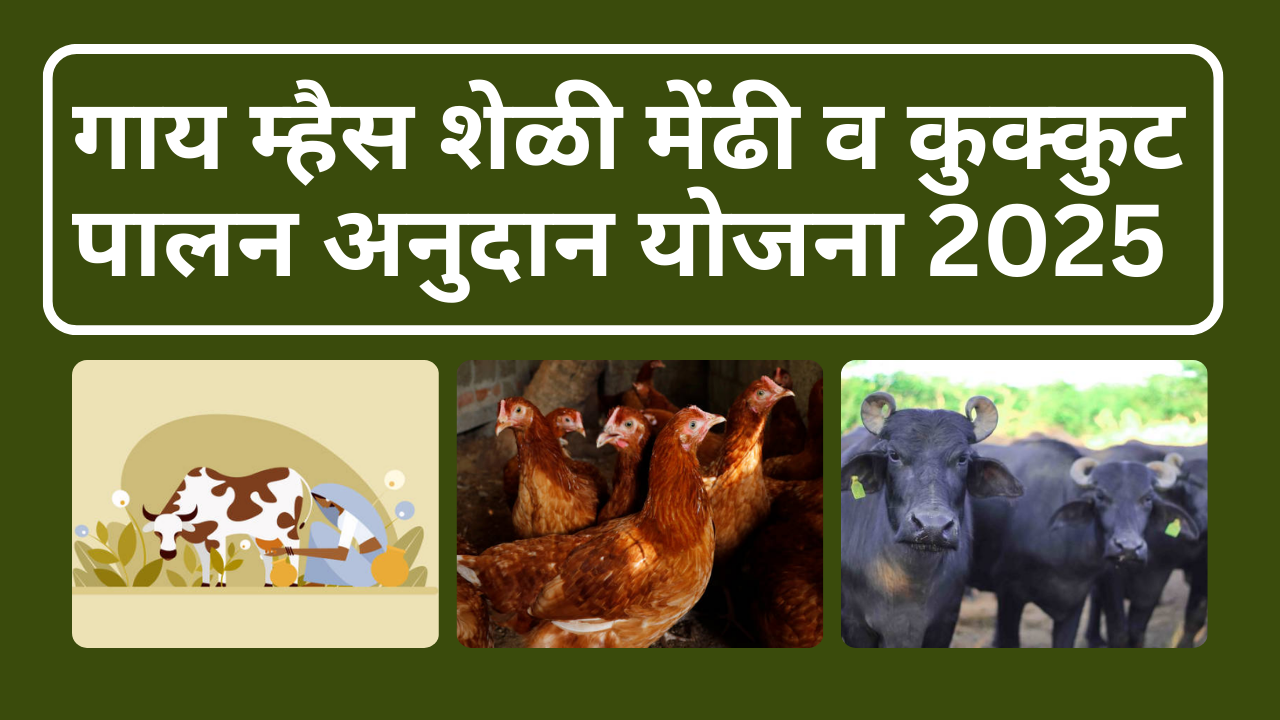 गाय म्हैस शेळी मेंढी व कुक्कुट पालन अनुदान योजना 2025